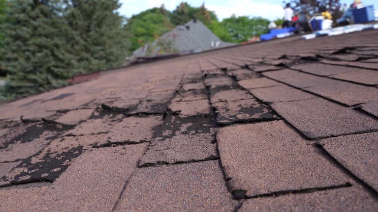 Best Roof Ventilation Installation  in Potosi, MO
