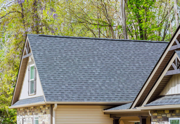 Best Sheet Metal Roofing  in Potosi, MO